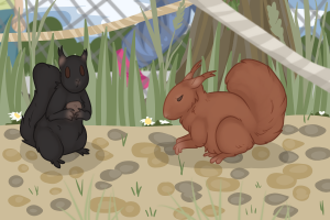 Submission thumbnail