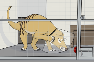 Submission thumbnail