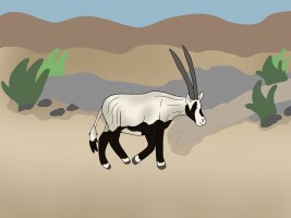 Submission thumbnail