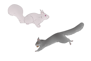 Submission thumbnail