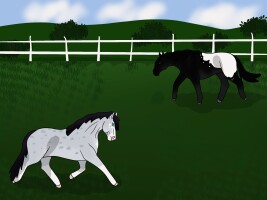 Submission thumbnail