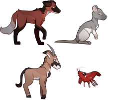 Submission thumbnail