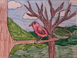 Submission thumbnail