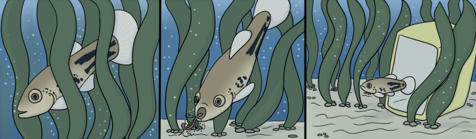 Submission thumbnail