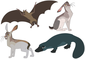 Submission thumbnail