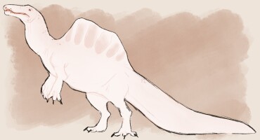 Submission thumbnail