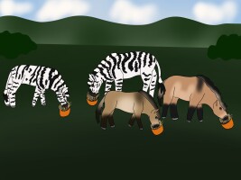 Submission thumbnail