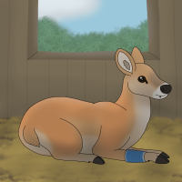 Submission thumbnail