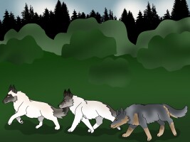 Submission thumbnail