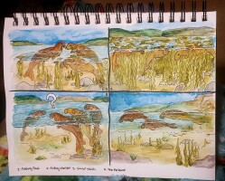 Submission thumbnail