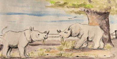 Submission thumbnail