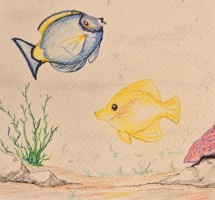 Submission thumbnail