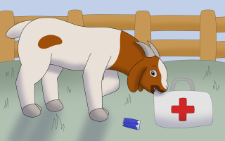 Submission thumbnail