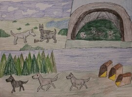 Submission thumbnail