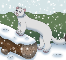 Submission thumbnail