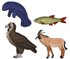 Submission thumbnail