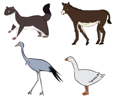 Submission thumbnail