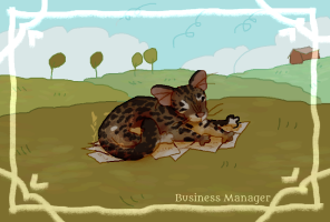 Submission thumbnail